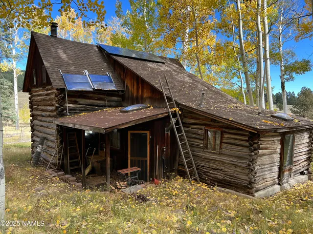 front view of a house with a trees