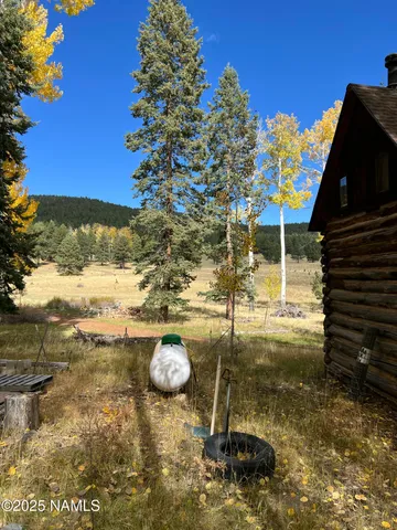 a view of a pathway of a house