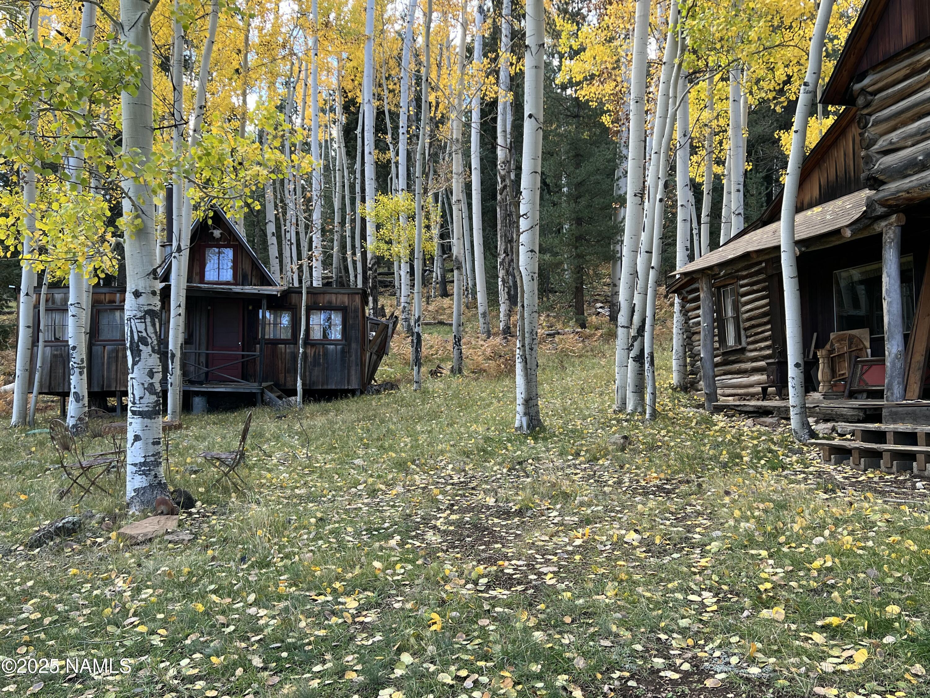 0 Forest Service 900 1k Road Northeast Flagstaff, AZ 86001 - Photo 25 of 25 a view of outdoor space and garden