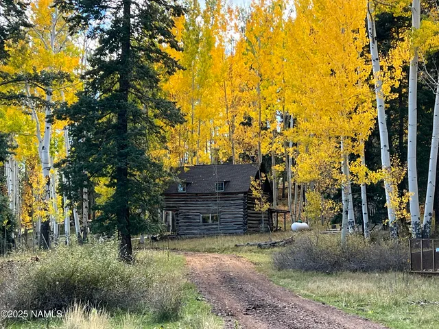 a view of a wrought iron fence