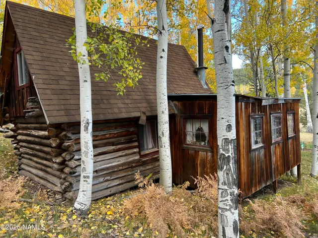 a view of a house with a door and wooden walls