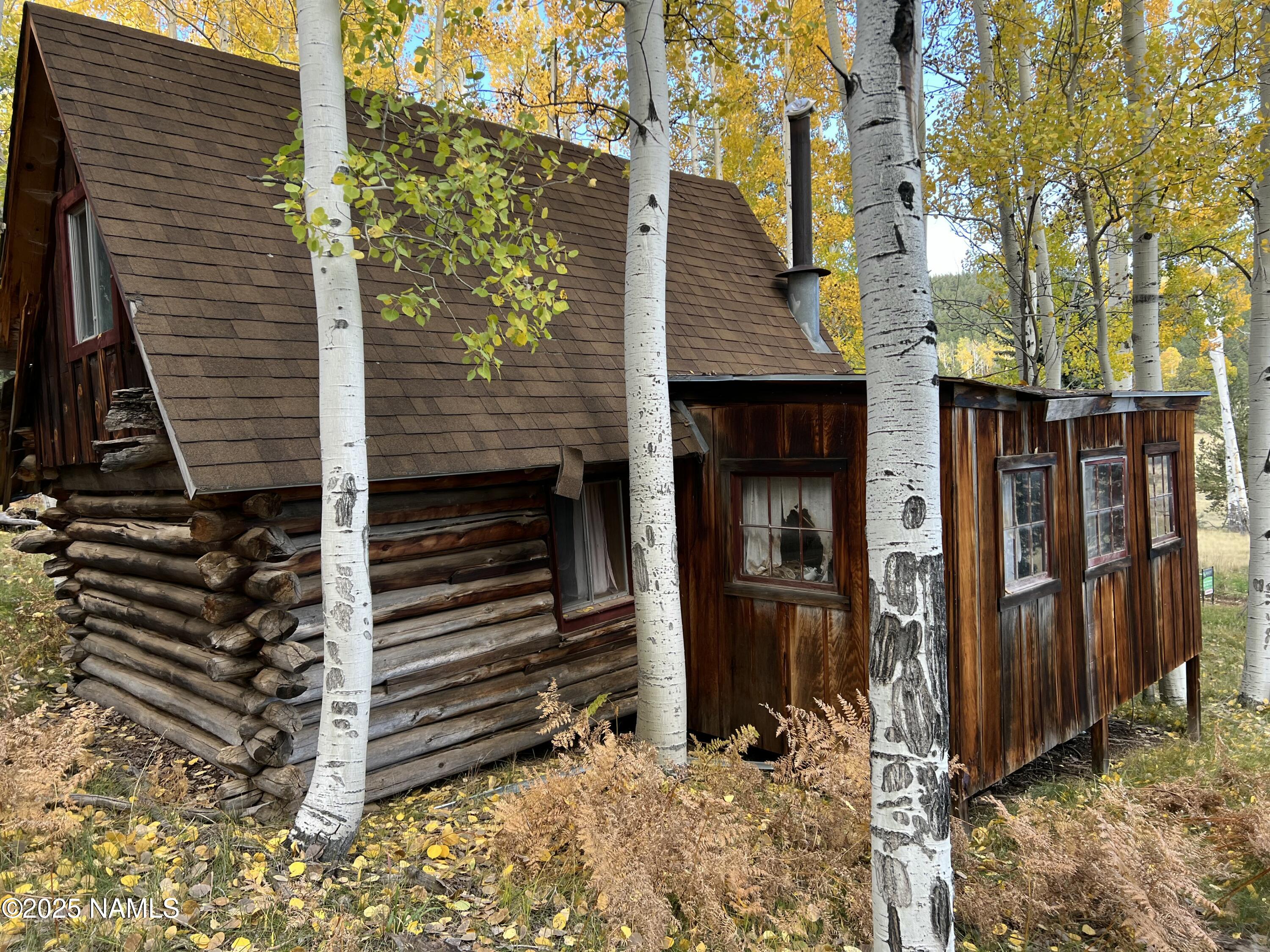 0 Forest Service 900 1k Road Northeast Flagstaff, AZ 86001 - Photo 4 of 25 a view of a house with a door and wooden walls