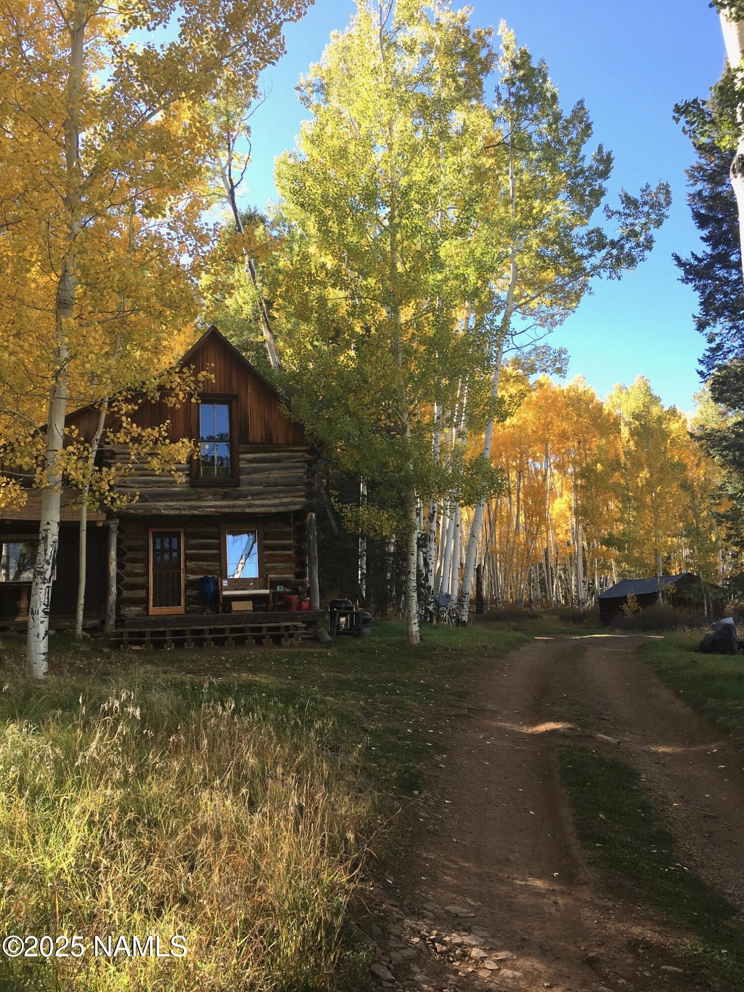 0 Forest Service 900 1k Road Northeast Flagstaff, AZ 86001 - Photo 7 of 25 a view of a yard in front of house