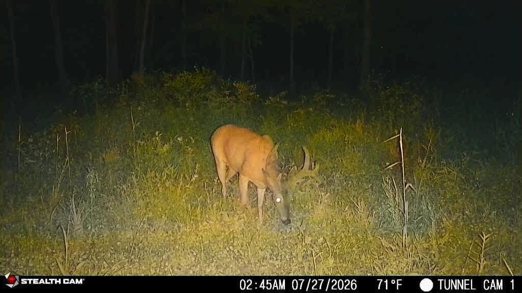 1271 A Tunnel Ridge Road Grayson, KY 41143 - Photo 133 of 134 7.29.26 08