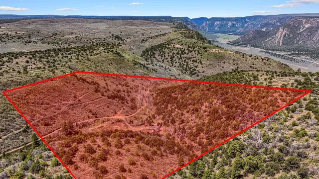 a view of a large yard with large trees