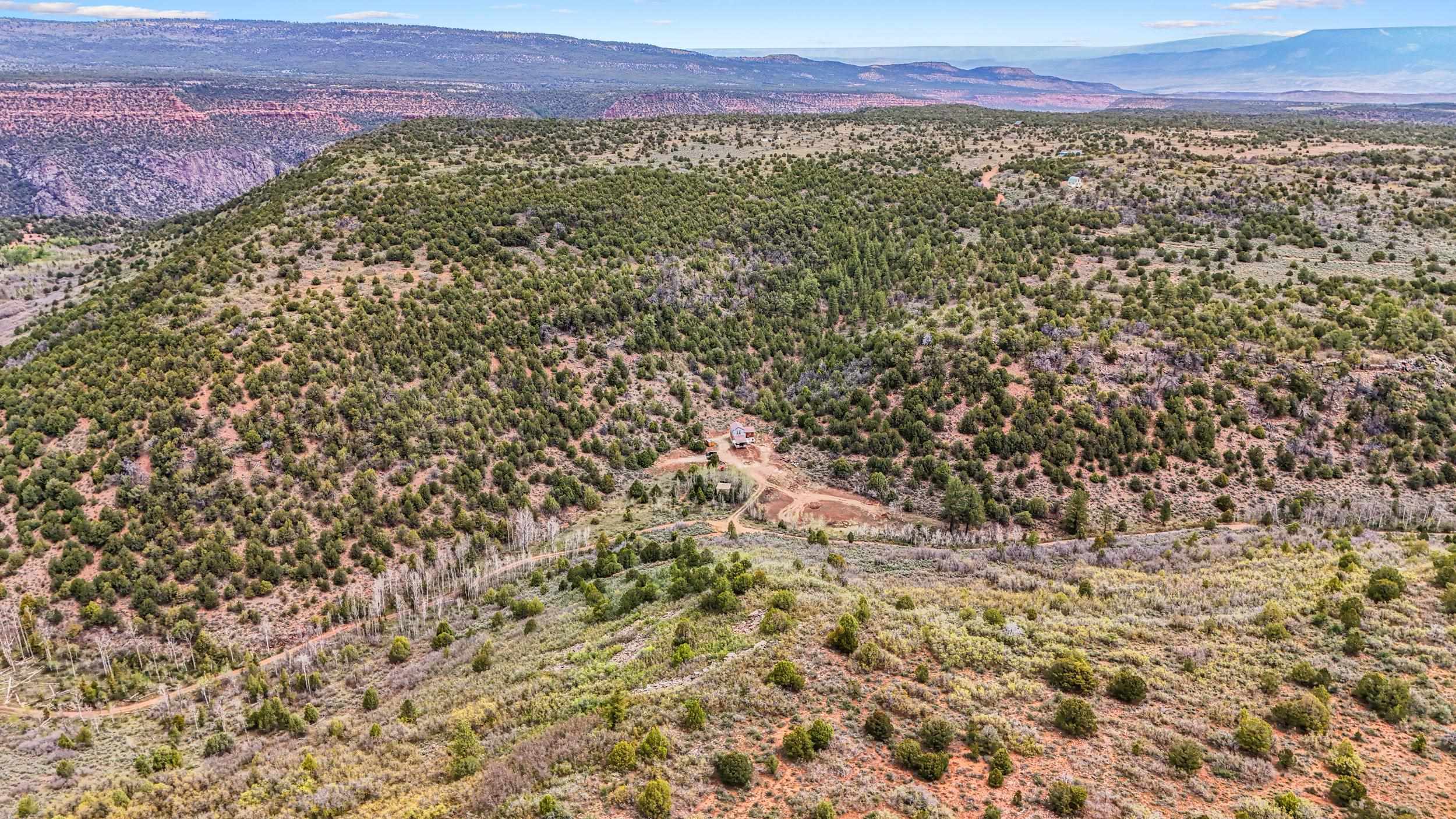 7465 Uncompahgre Divide Road Whitewater, CO 81527 - Photo 33 of 41 a view of a lush green field