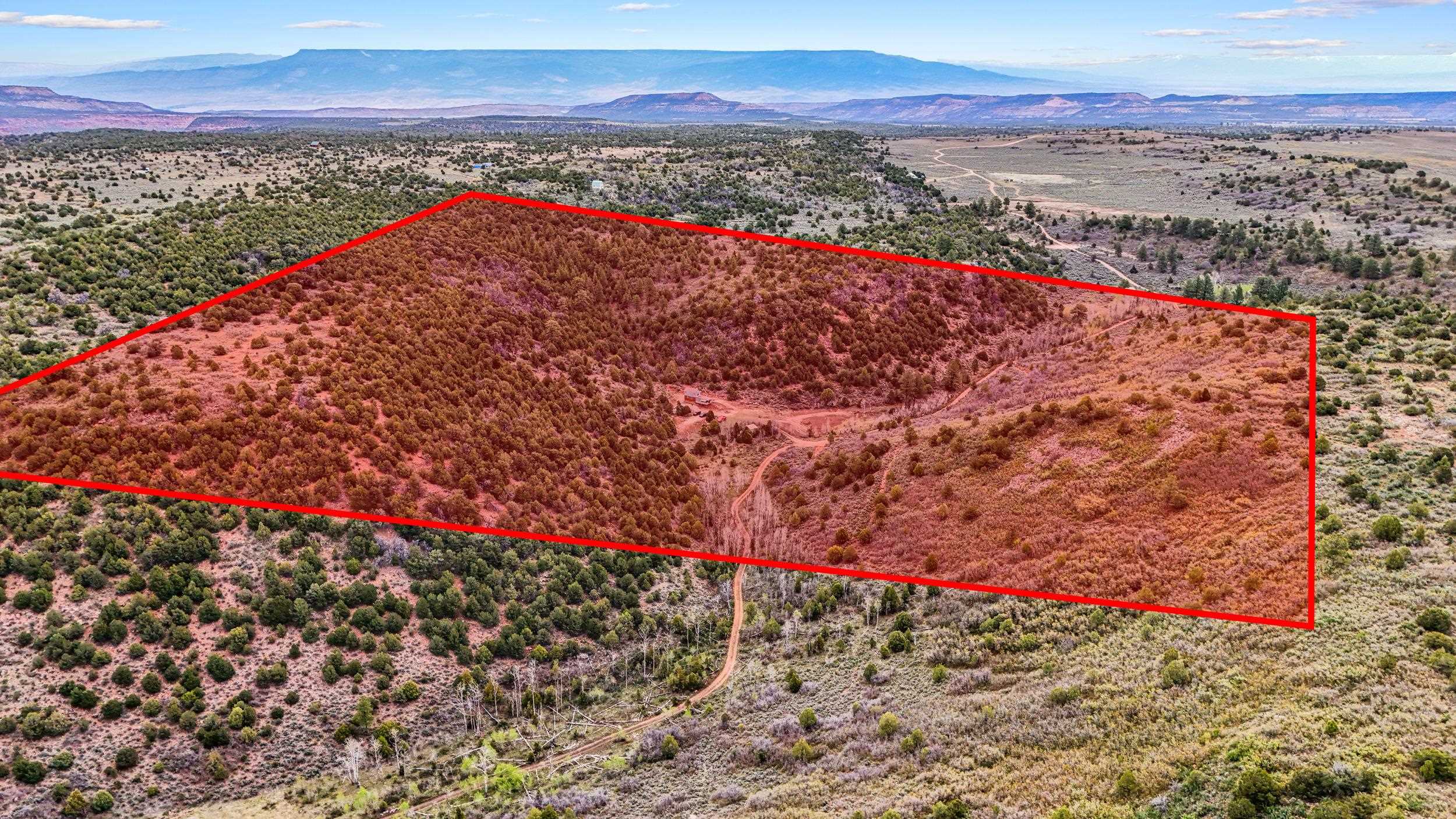 7465 Uncompahgre Divide Road Whitewater, CO 81527 - Photo 35 of 41