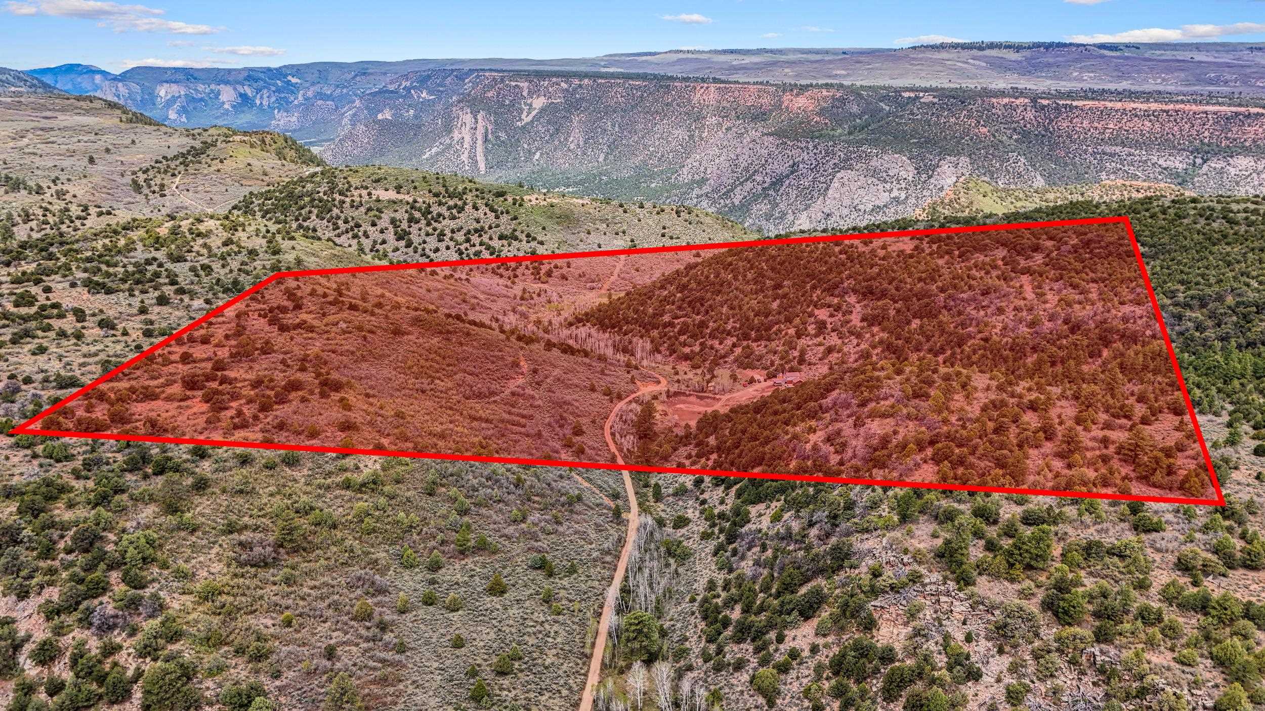 7465 Uncompahgre Divide Road Whitewater, CO 81527 - Photo 37 of 41