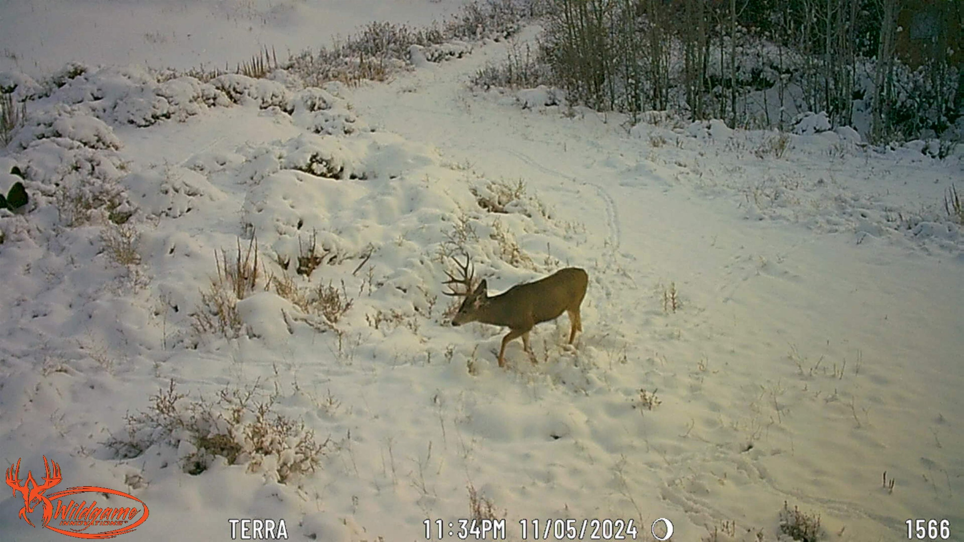 7465 Uncompahgre Divide Road Whitewater, CO 81527 - Photo 39 of 41 a view of outdoor space with sink fire pit