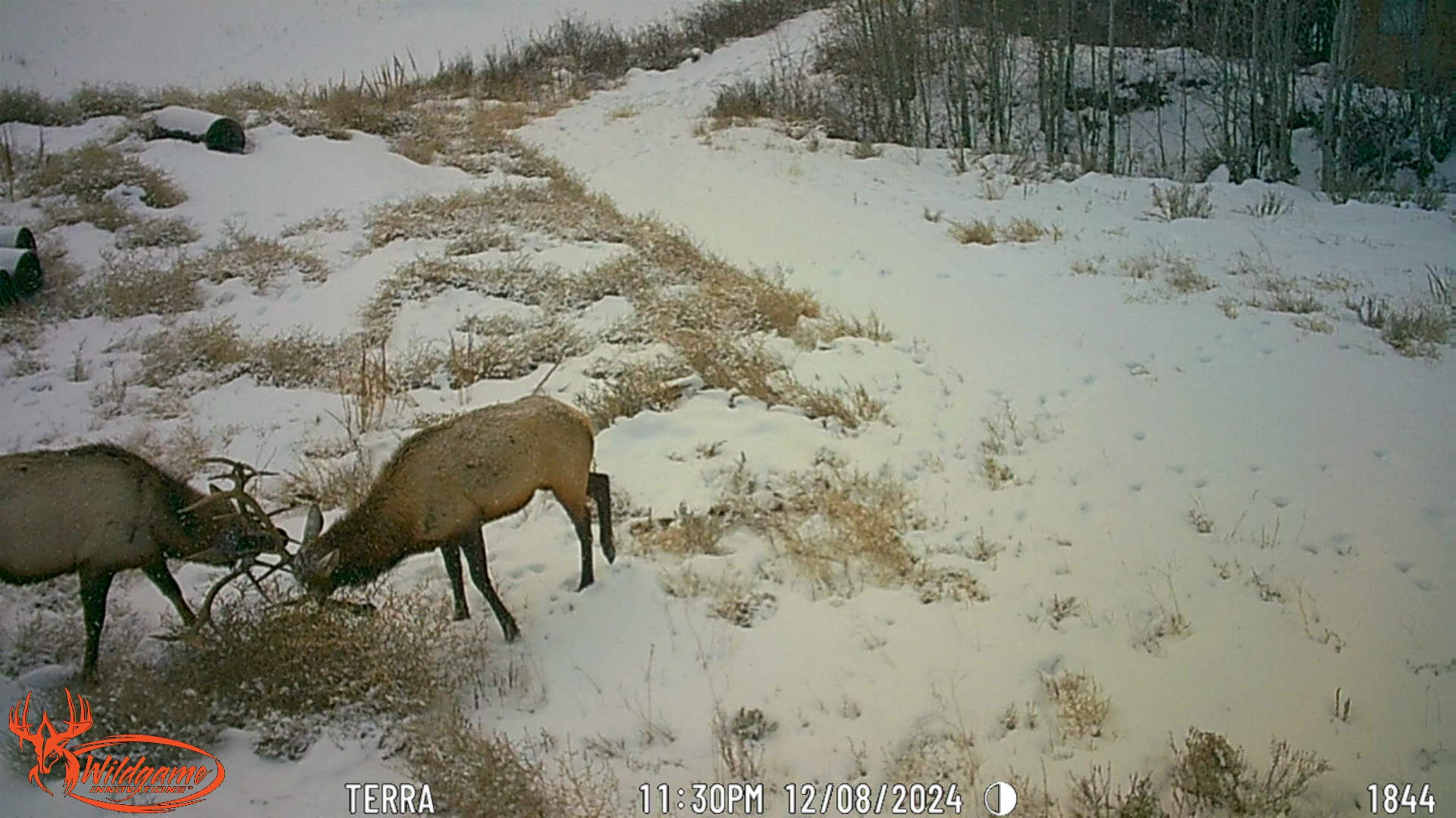 7465 Uncompahgre Divide Road Whitewater, CO 81527 - Photo 40 of 41 a view of a backyard of a house