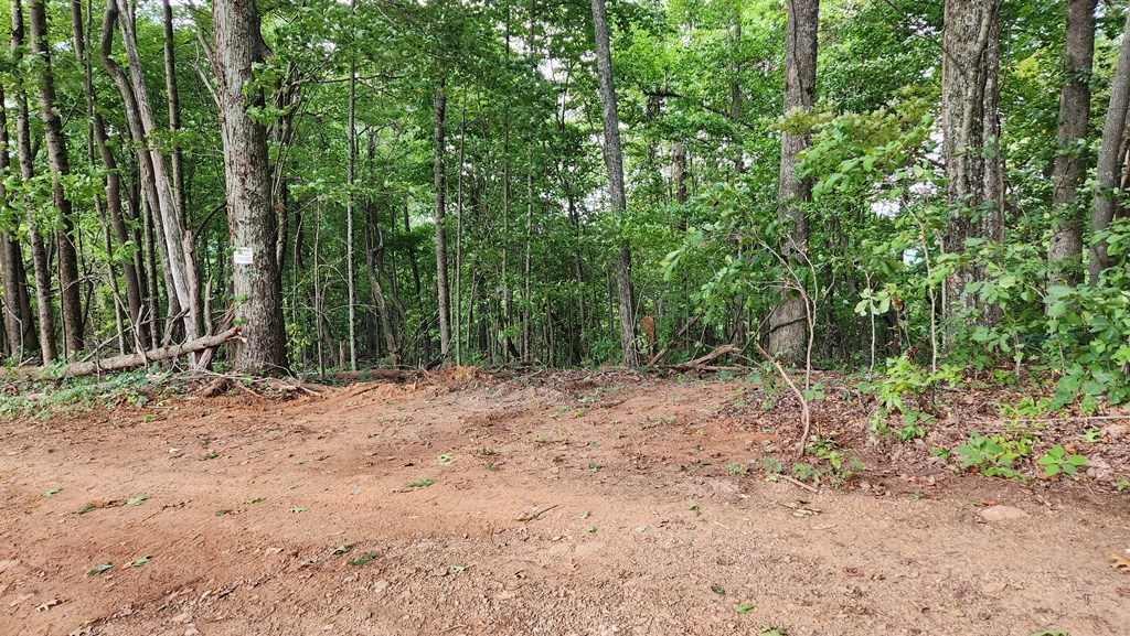 Lot 32 Calvender Road Turtletown, TN 37391 - Photo 13 of 15 a view of outdoor space with trees