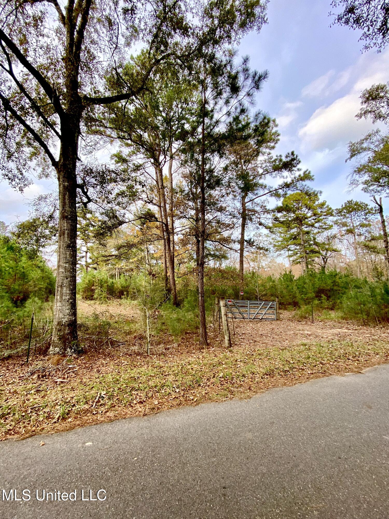 0 Albert Prince Road Carriere, MS 39426 - Photo 14 of 14 IMG_1190