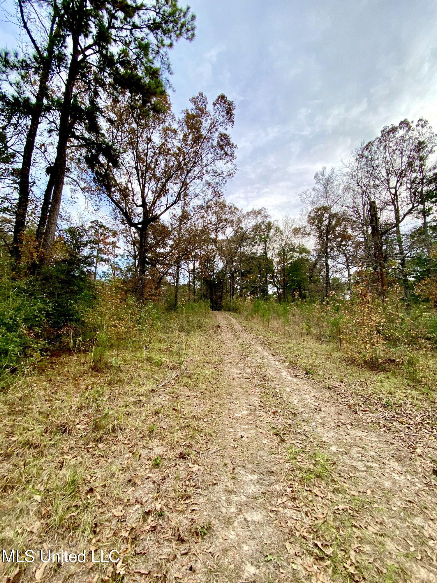 0 Albert Prince Road Carriere, MS 39426 - Photo 3 of 14 IMG_1179