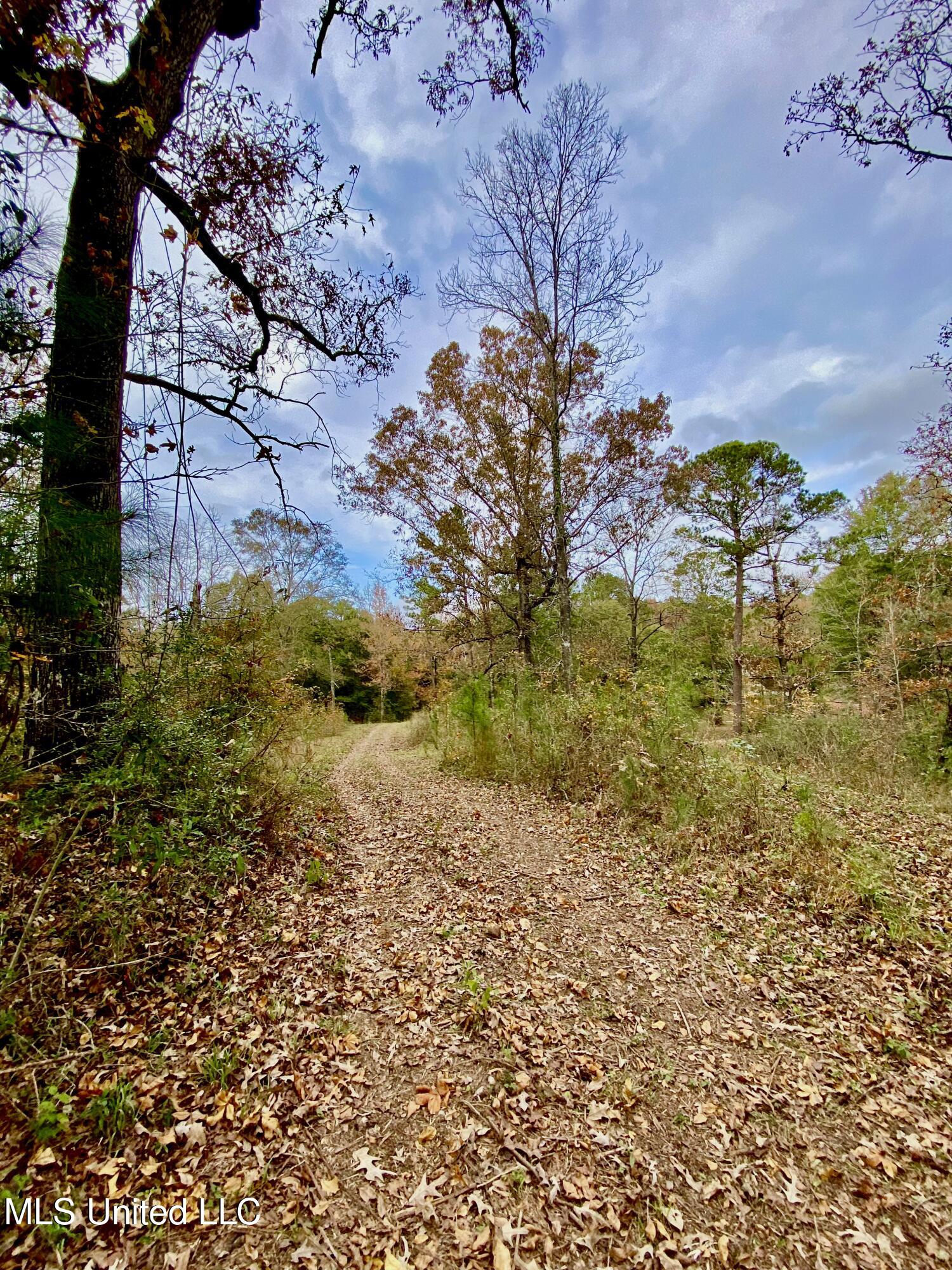 0 Albert Prince Road Carriere, MS 39426 - Photo 5 of 14 IMG_1181