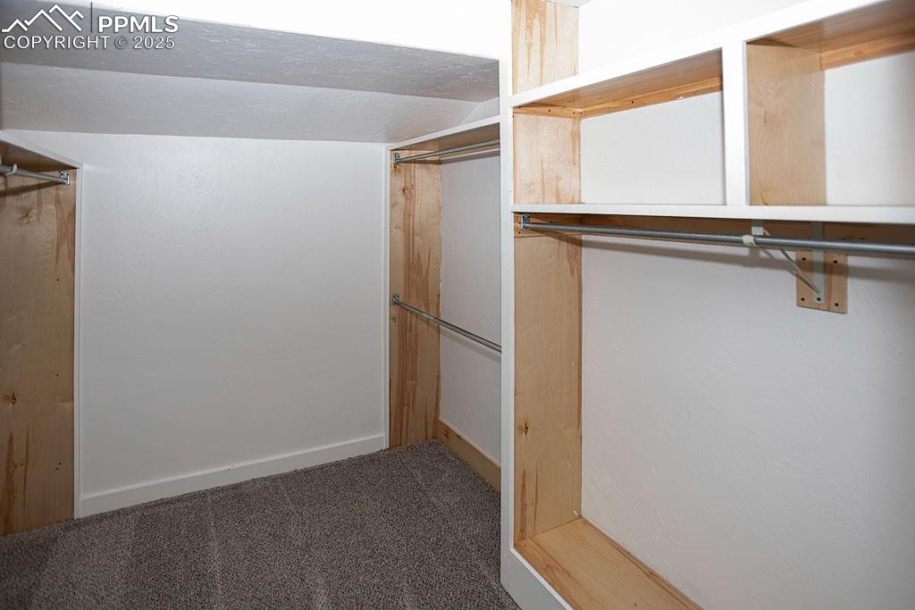 5630 Ramblin Rose Road Colorado Springs, CO 80908 - Photo 11 of 29 Primary bedroom closet