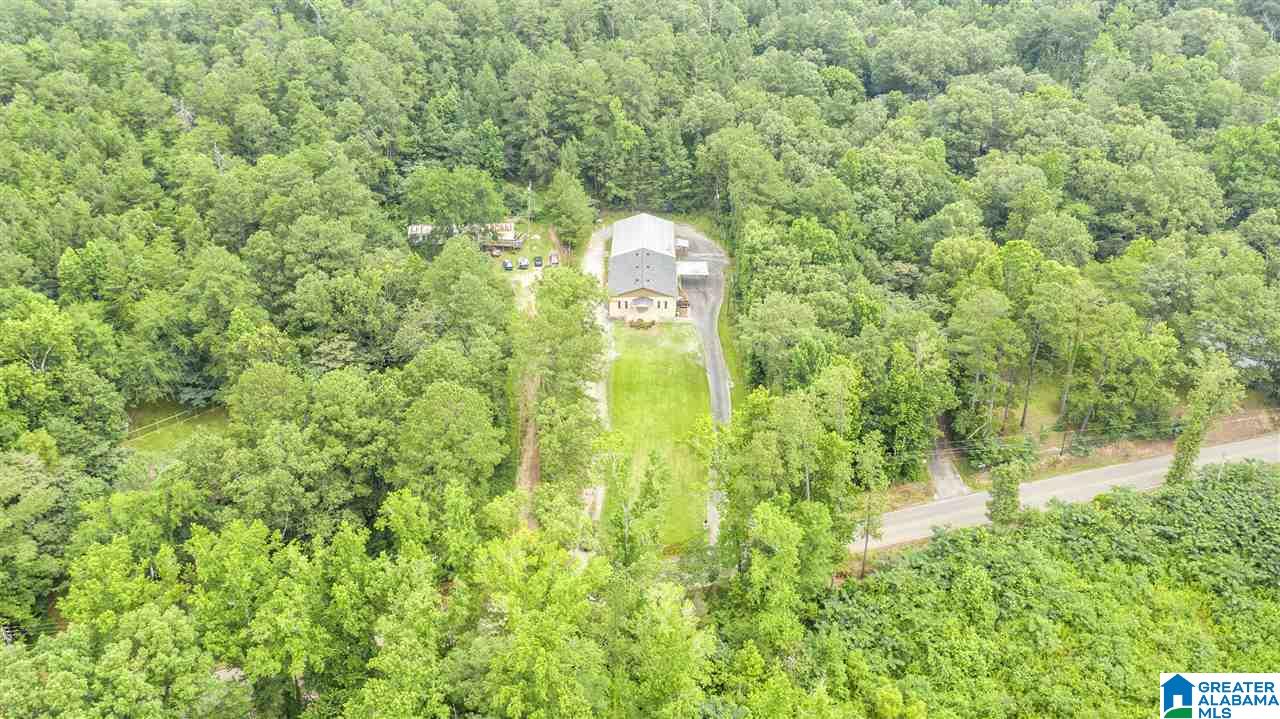 2468 Happy Top Road Morris, AL 35116 - Photo 42 of 46