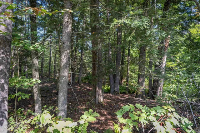 $99,900 | Lot 56-3 Ossipee Mountain Road, Center Ossipee, NH 03814