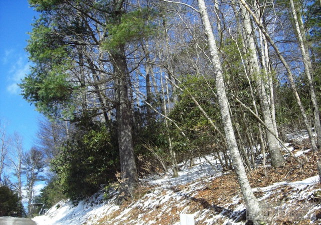 8 Section Boone, NC 28645 - Photo 1 of 1 Gallery Image 1