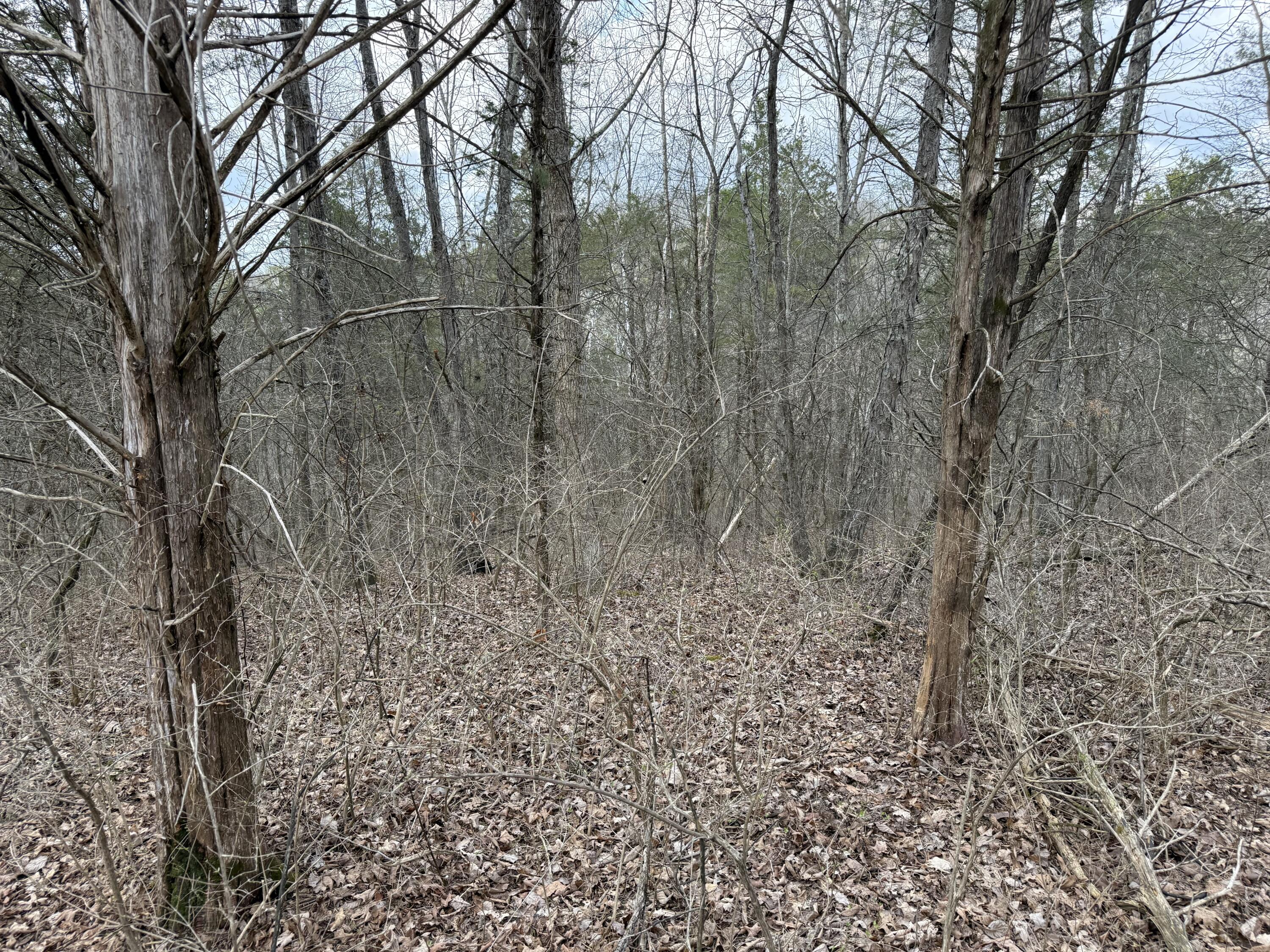 2501 Crittenden Mt Zion Road Dry Ridge, KY 41035 - Photo 11 of 19 Gallery Image 11
