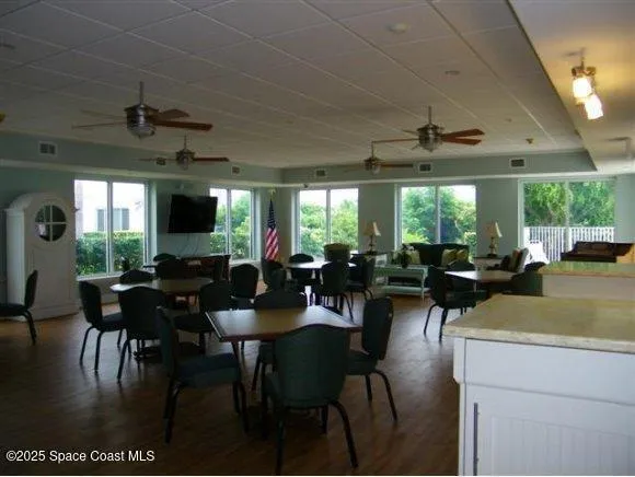a view of a field of grass and palm trees