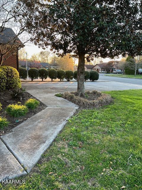 107 Blue Ridge Court Oak Ridge, TN 37830 - Photo 3 of 22 IMG_1184