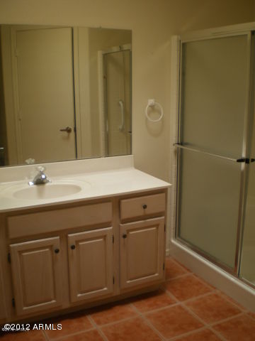 14300 West Bell Road, Unit 327 Surprise, AZ 85374 - Photo 7 of 9 Master bath