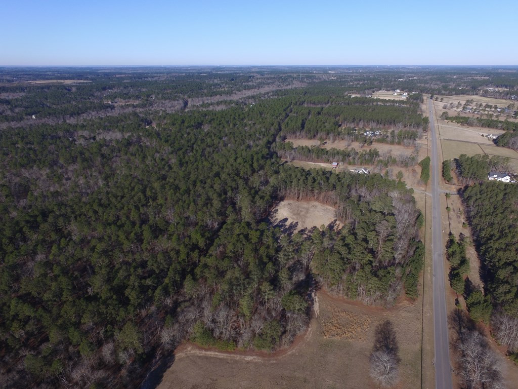 Lot 25-26 Anderson Pond Road Johnston, SC 29832 - Photo 10 of 11
