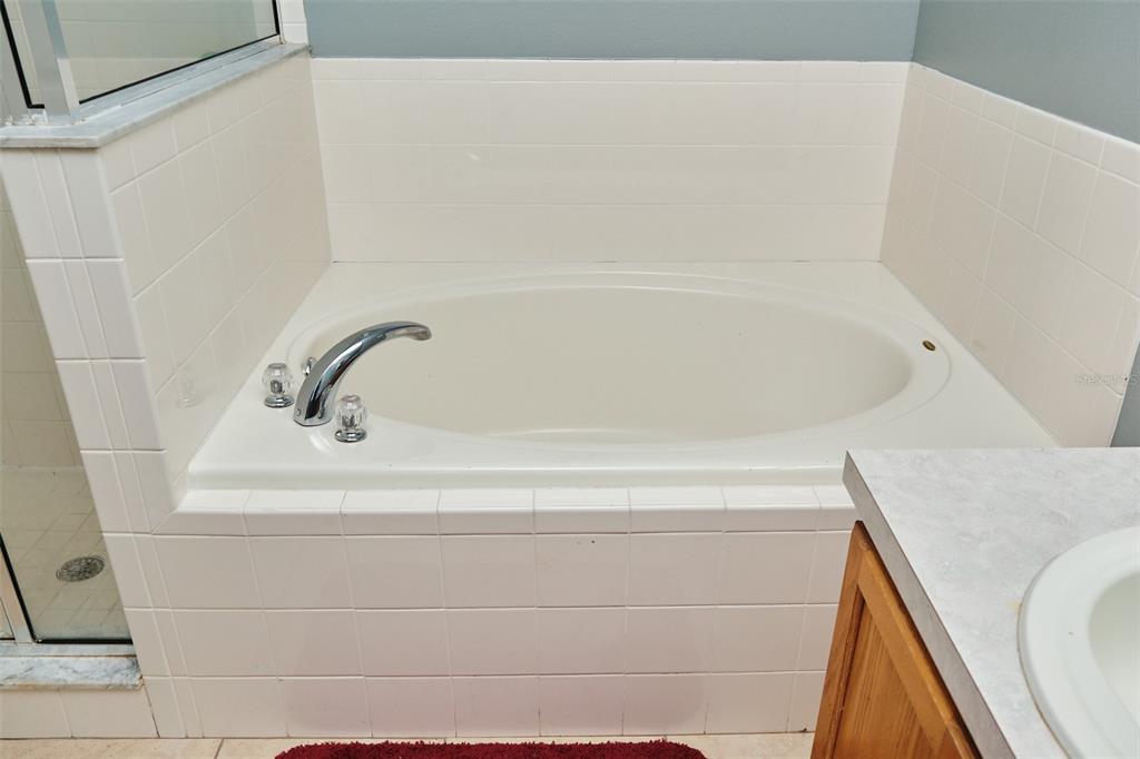 2726 Randal Way Kissimmee, FL 34743 - Photo 16 of 20 a close up of a sink and a bathtub