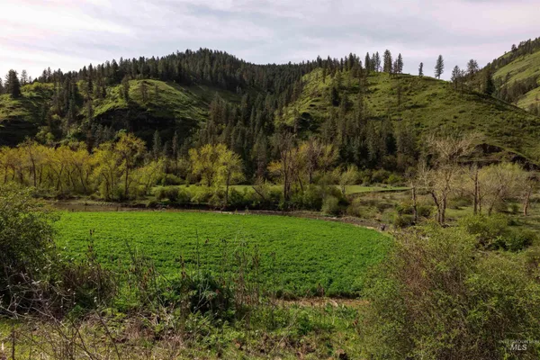 $2,779,000 | 259 Cottonwood Creek Road, Stites, ID 83552