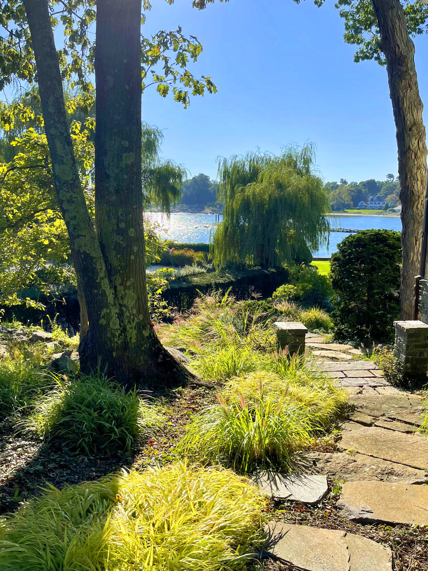 12 Butlers Island Road Darien, CT 06820 - Photo 8 of 39 a view of a swimming pool with a garden