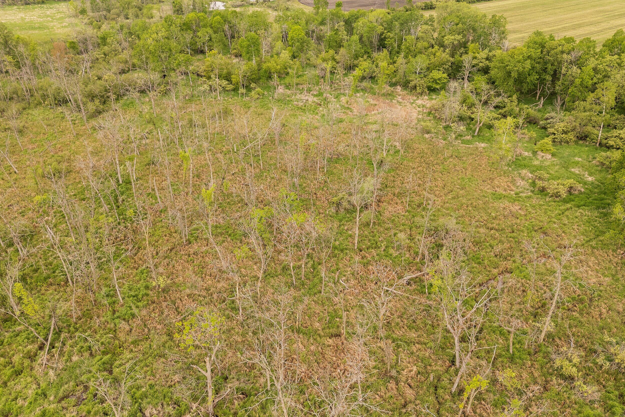 Lt1 Maple Road Chili, WI 54420 - Photo 15 of 44 Middle Coast-34 (11)
