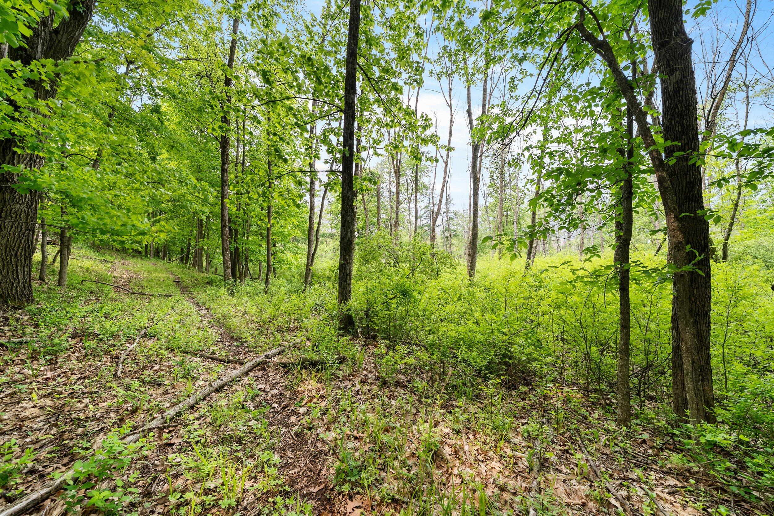 Lt1 Maple Road Chili, WI 54420 - Photo 20 of 44 Middle Coast-29 (17)