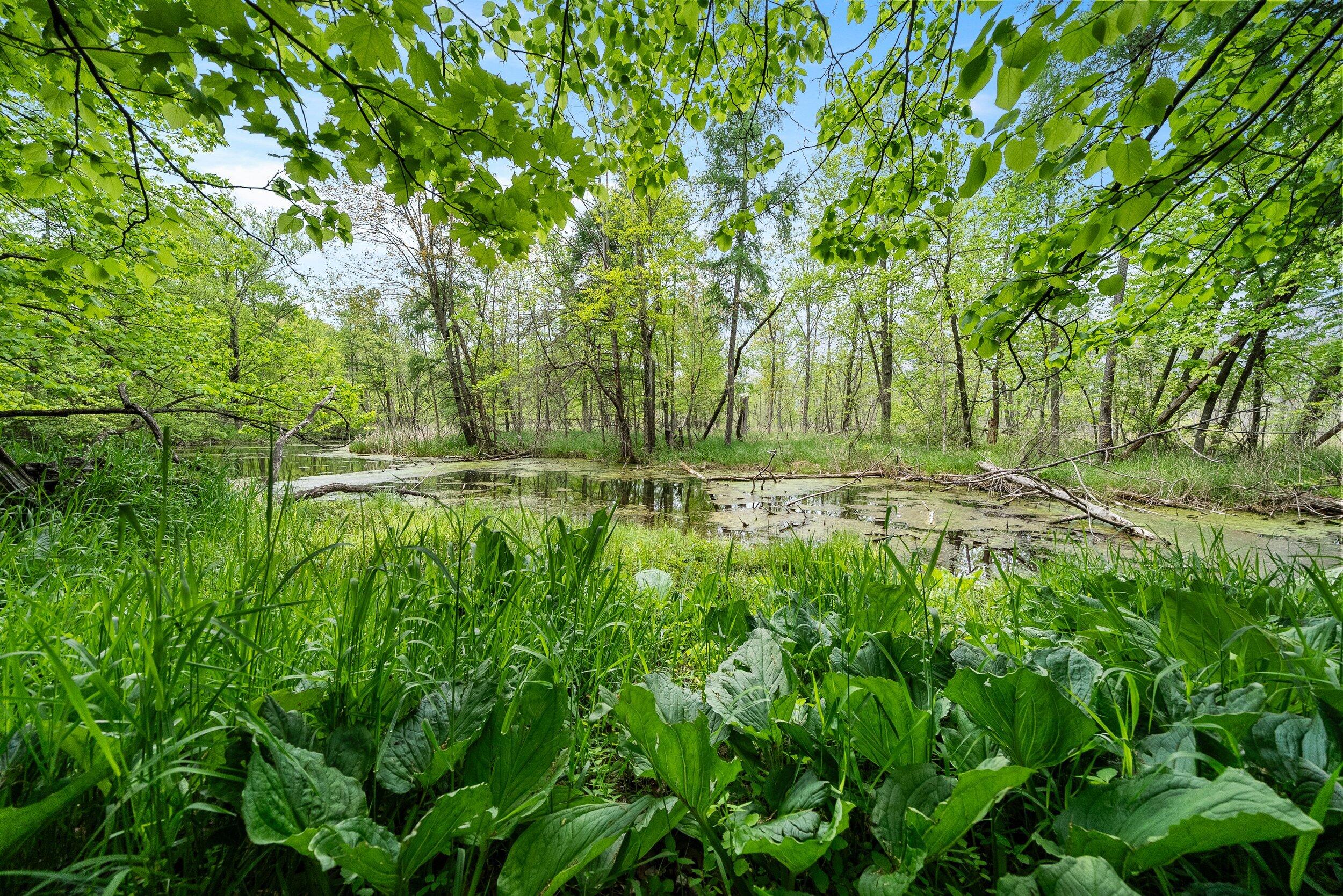 Lt1 Maple Road Chili, WI 54420 - Photo 21 of 44 Middle Coast-28 (19)