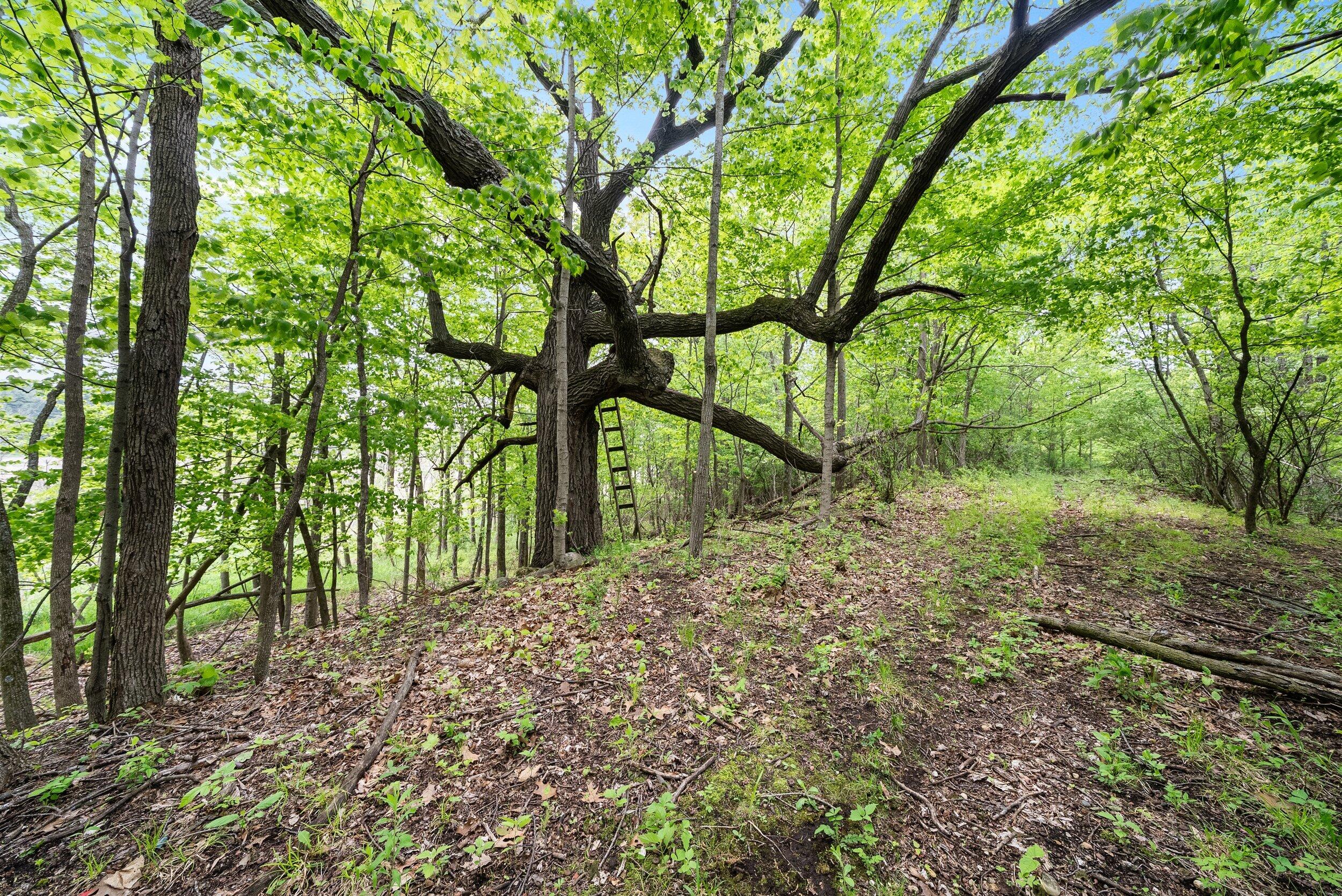Lt1 Maple Road Chili, WI 54420 - Photo 22 of 44 Middle Coast-27 (11)