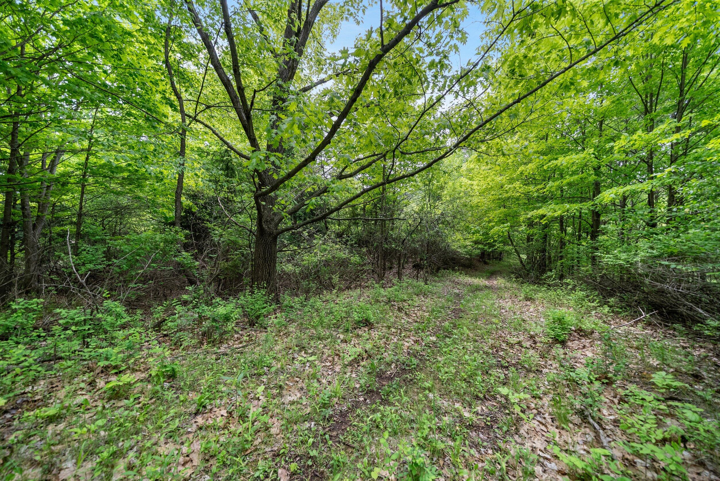 Lt1 Maple Road Chili, WI 54420 - Photo 23 of 44 Middle Coast-25 (20)