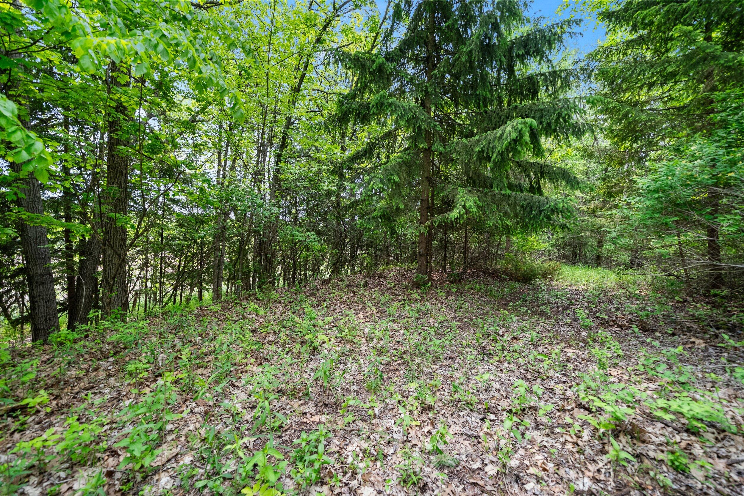 Lt1 Maple Road Chili, WI 54420 - Photo 24 of 44 Middle Coast-24 (15)