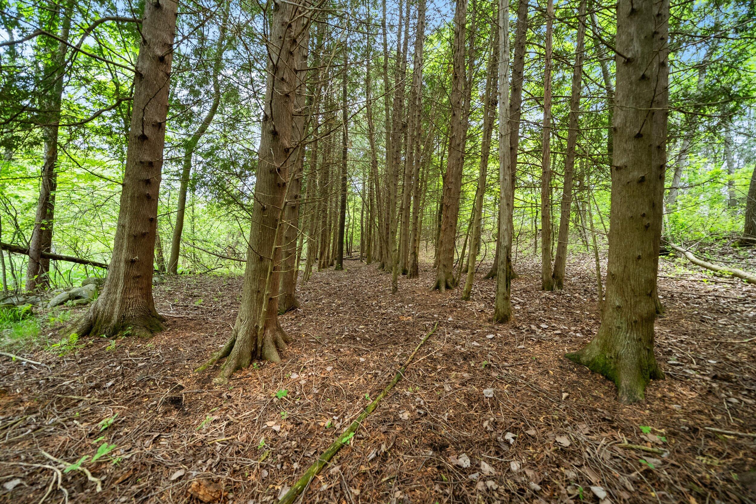 Lt1 Maple Road Chili, WI 54420 - Photo 25 of 44 Middle Coast-23 (21)