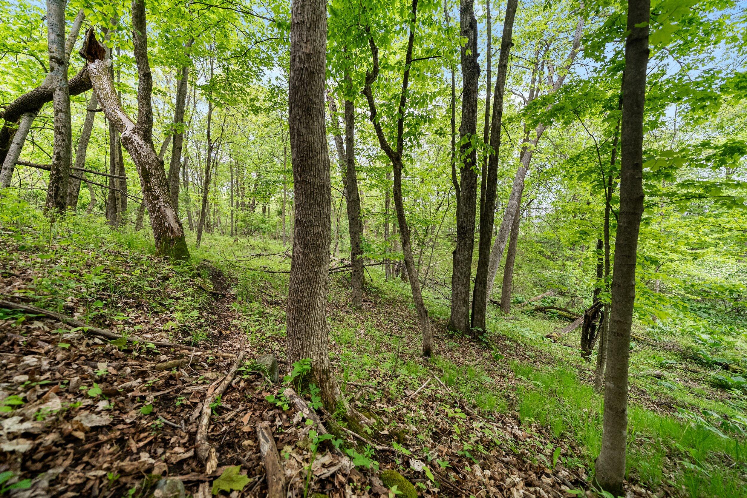 Lt1 Maple Road Chili, WI 54420 - Photo 26 of 44 Middle Coast-21 (14)