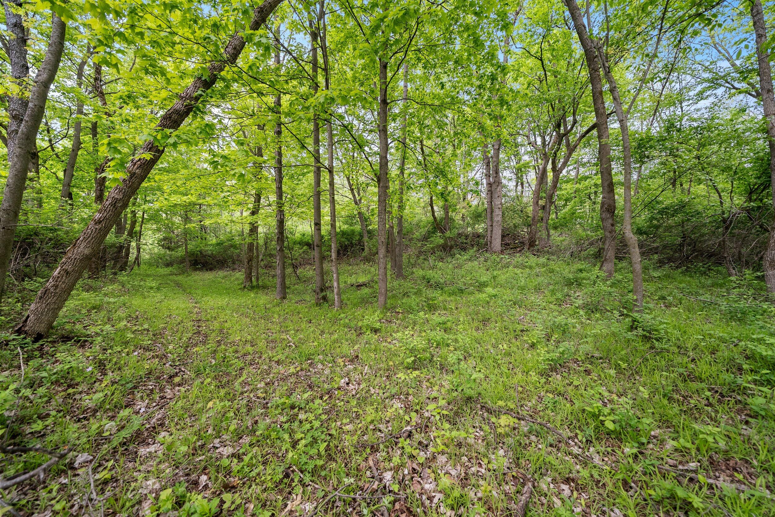 Lt1 Maple Road Chili, WI 54420 - Photo 28 of 44 Middle Coast-19 (21)