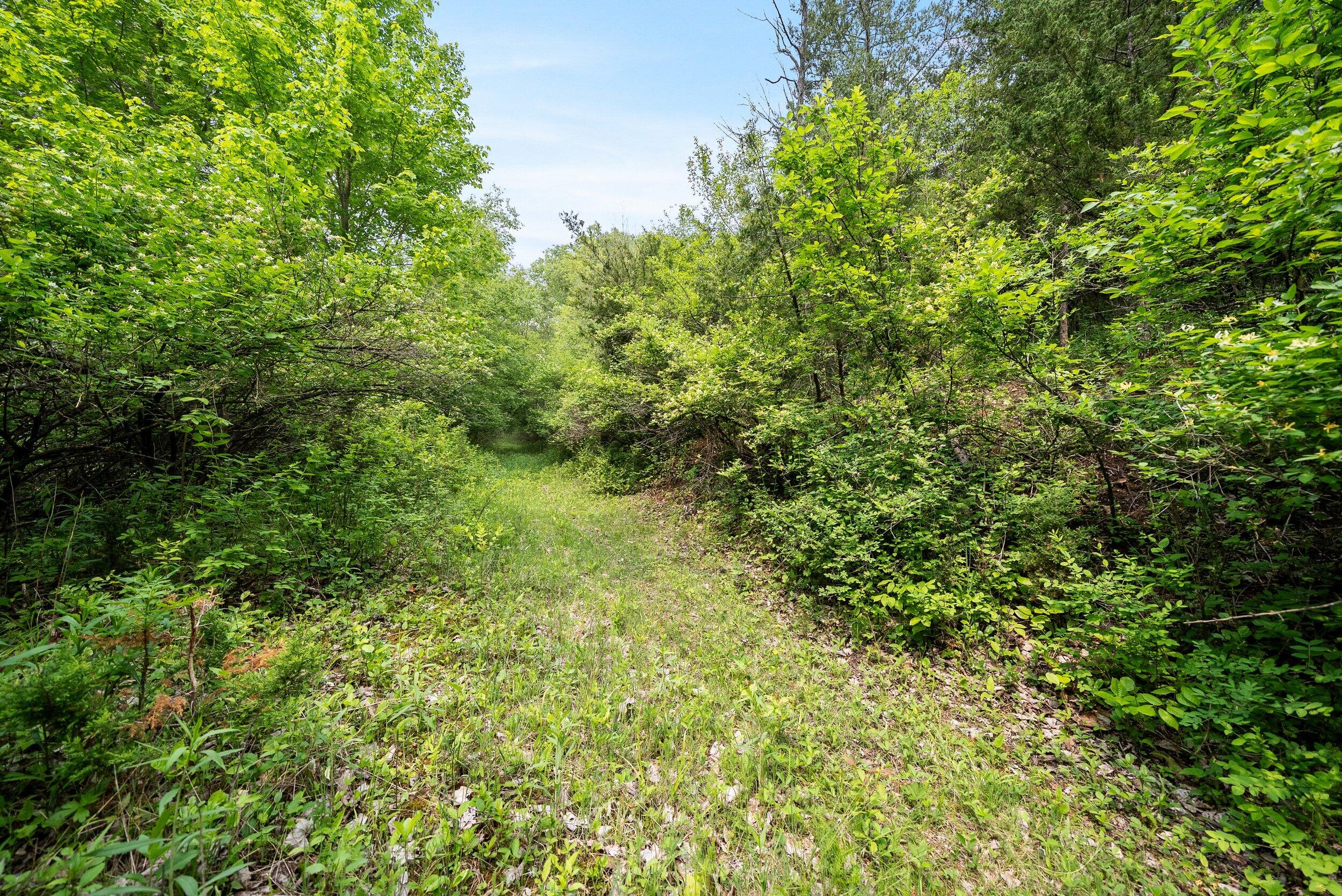 Lt1 Maple Road Chili, WI 54420 - Photo 30 of 44 Middle Coast-16 (20)