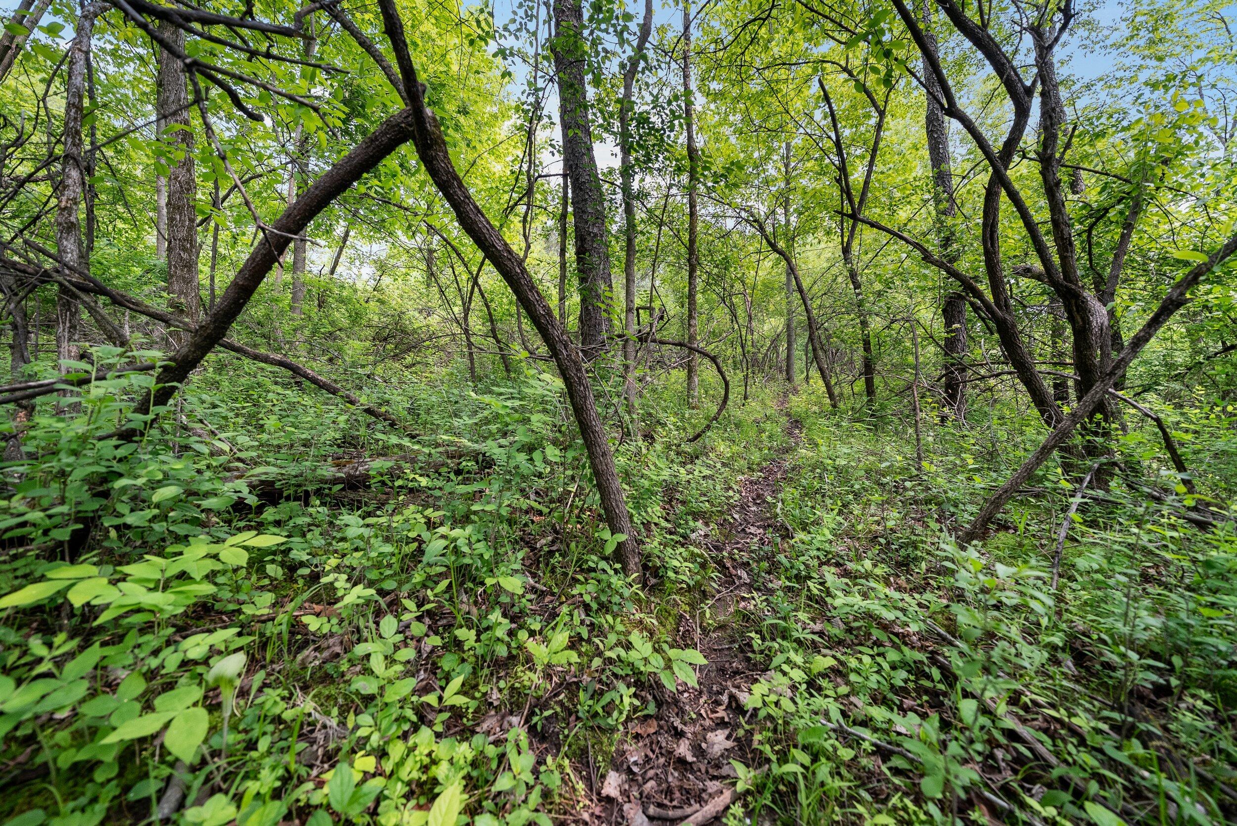 Lt1 Maple Road Chili, WI 54420 - Photo 31 of 44 Middle Coast-15 (27)