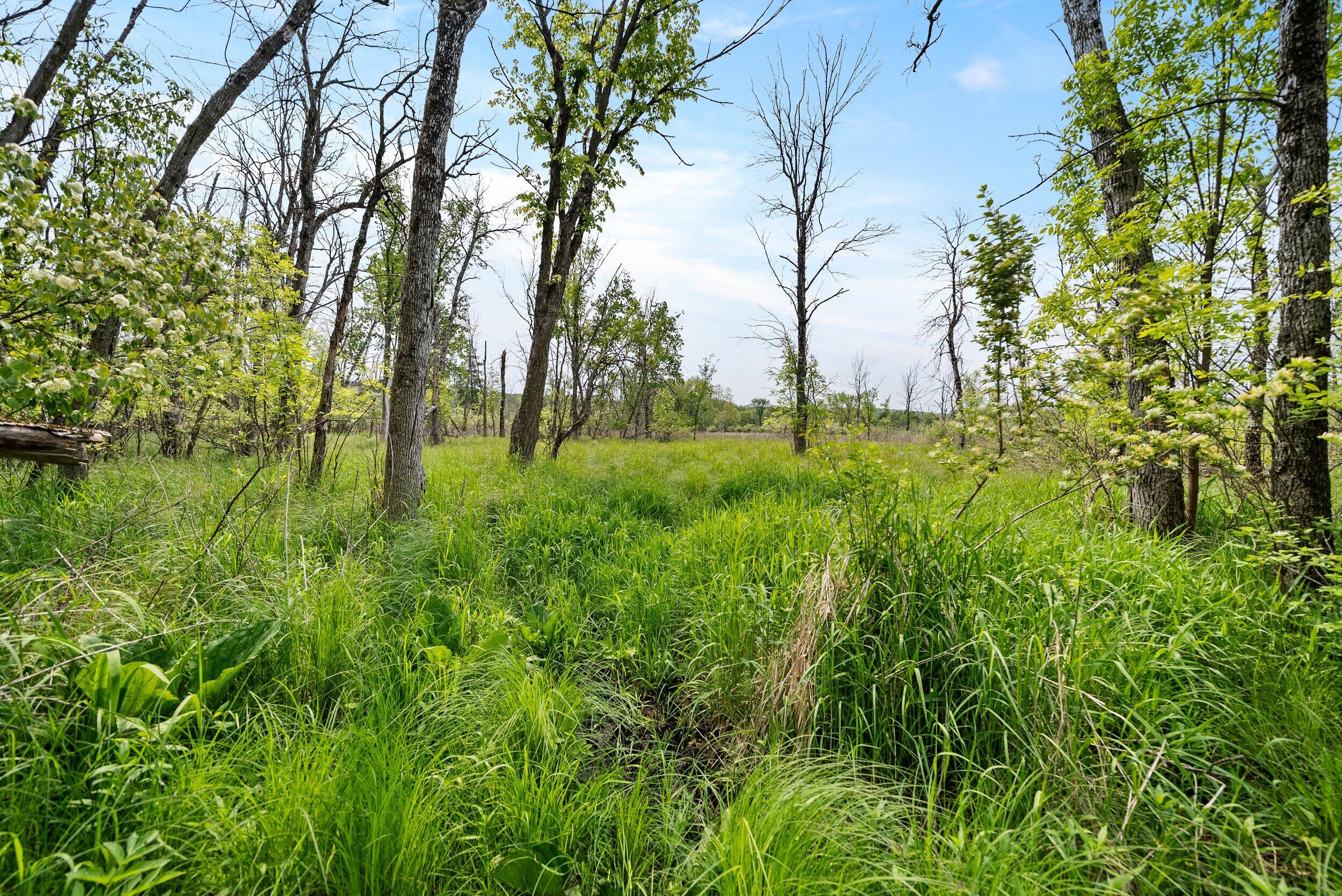 Lt1 Maple Road Chili, WI 54420 - Photo 32 of 44 Middle Coast-14 (29)