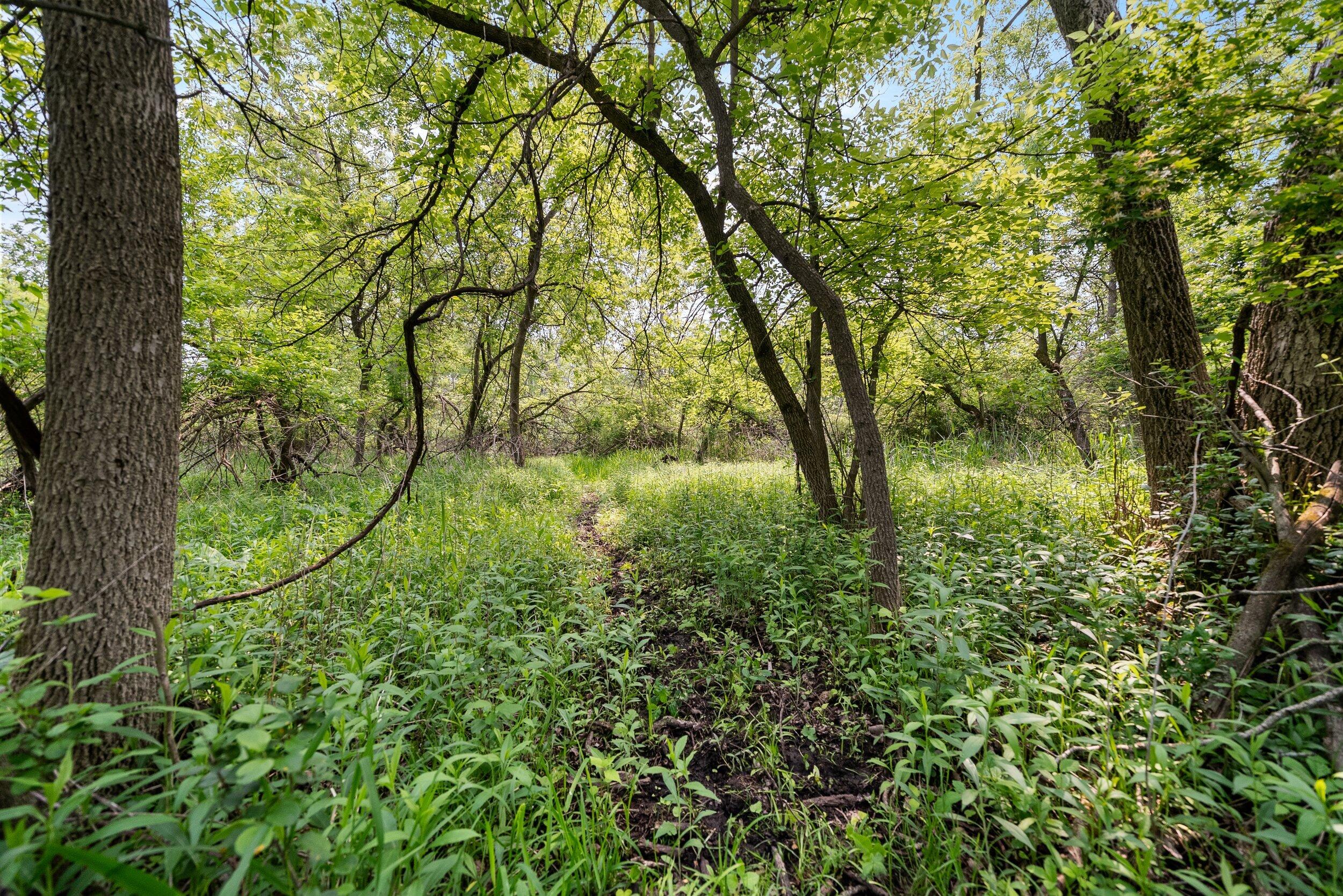 Lt1 Maple Road Chili, WI 54420 - Photo 34 of 44 Middle Coast-11 (22)