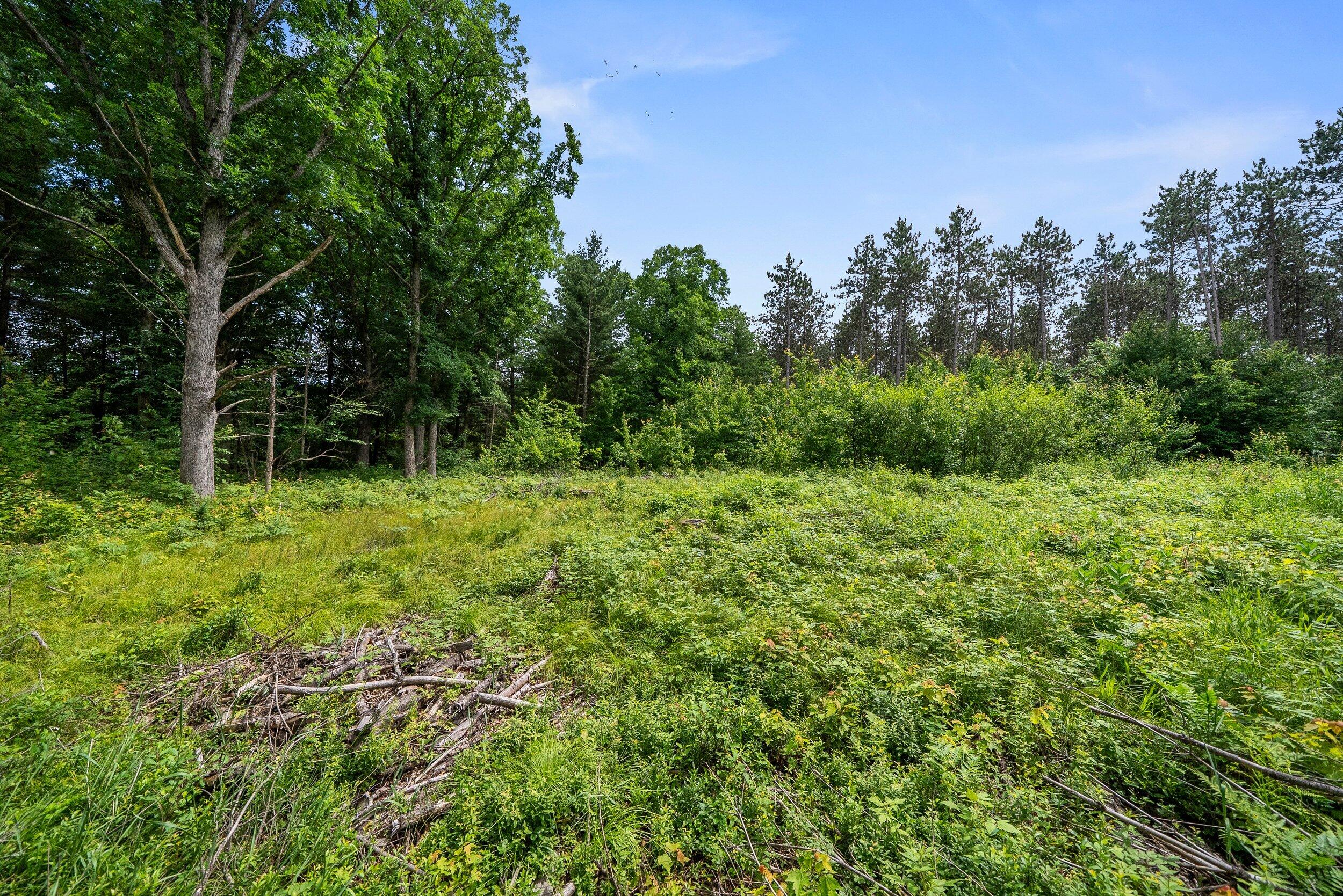 Lt1 Maple Road Chili, WI 54420 - Photo 36 of 44 Middle Coast-43 (7)