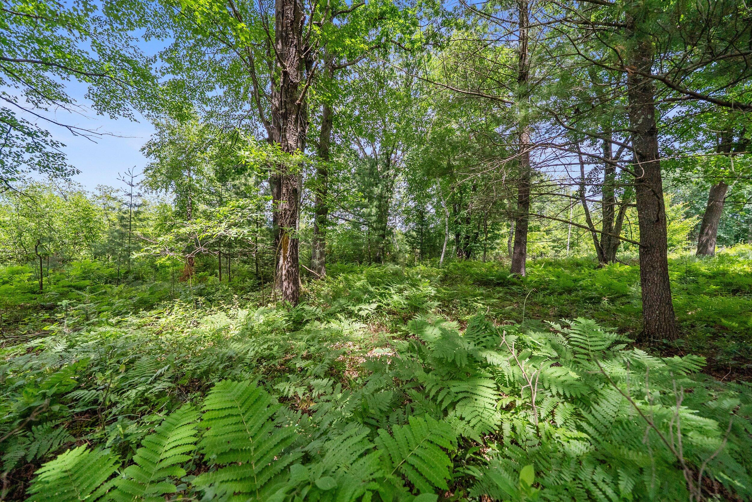 Lt1 Maple Road Chili, WI 54420 - Photo 38 of 44 Middle Coast-41 (9)