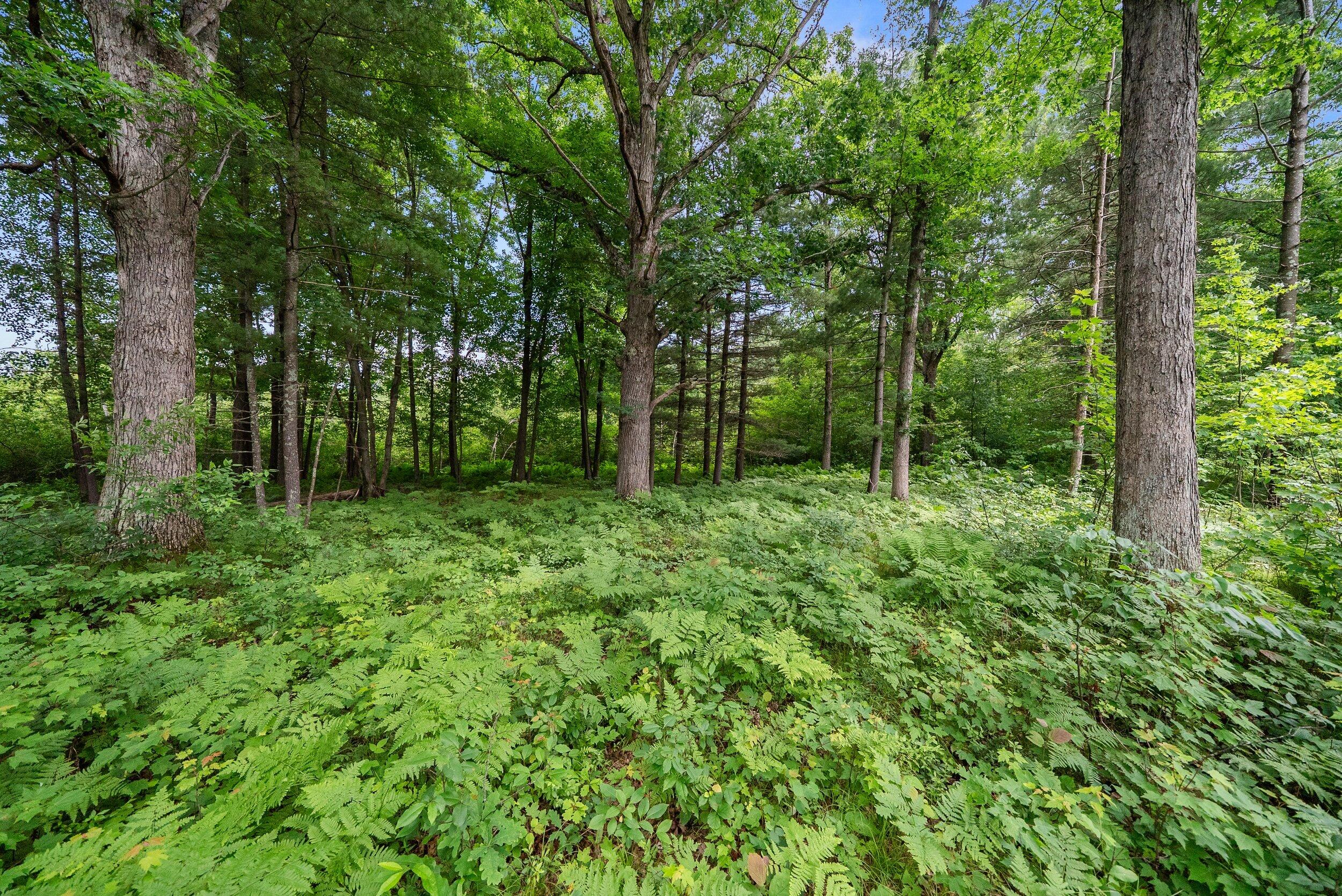 Lt1 Maple Road Chili, WI 54420 - Photo 40 of 44 Middle Coast-39 (15)