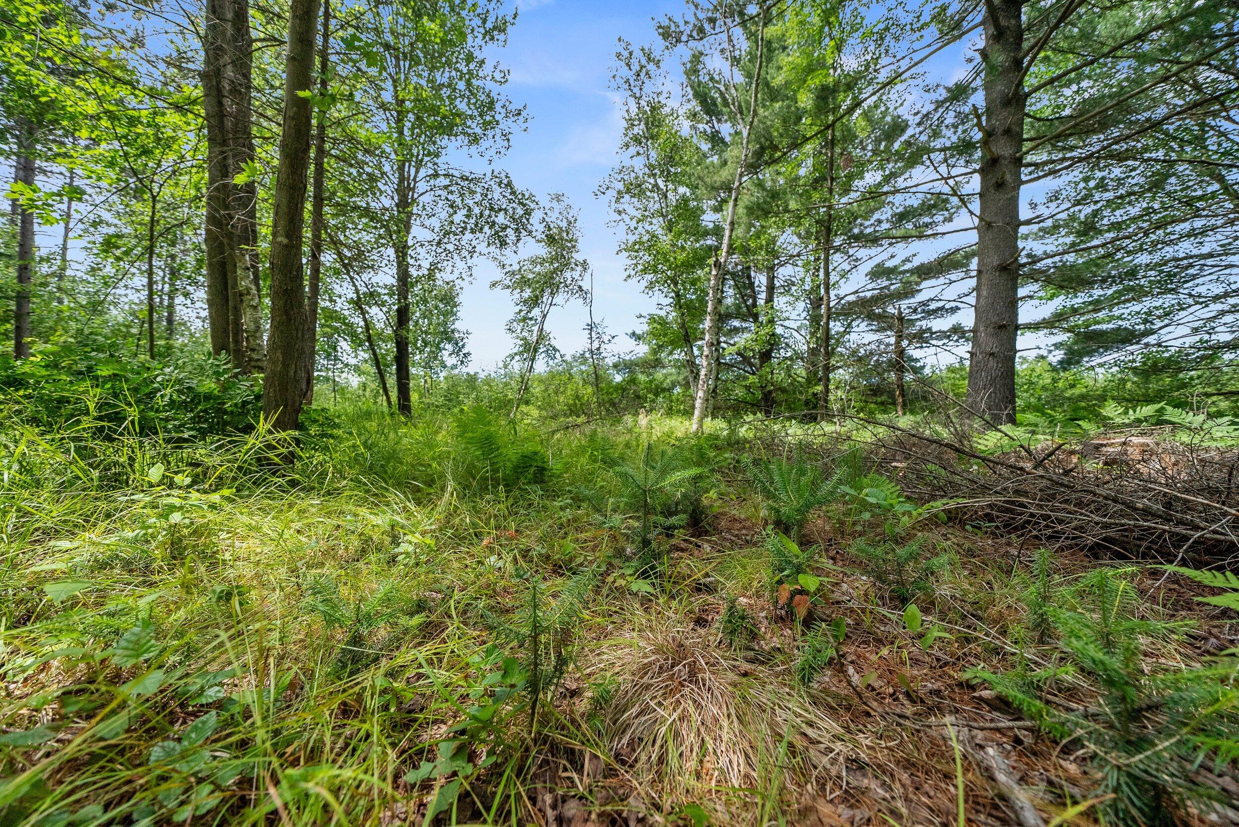 Lt1 Maple Road Chili, WI 54420 - Photo 44 of 44 Middle Coast-35 (12)