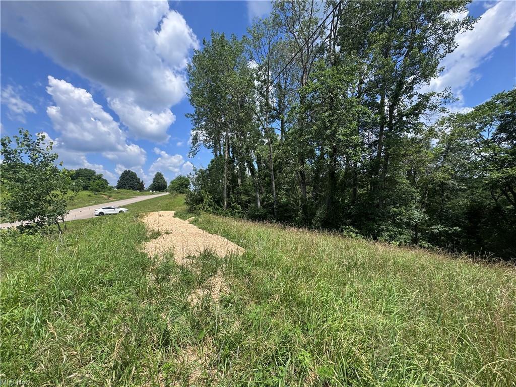 0 Point Lookout Road Stockport, OH 43787 - Photo 21 of 24 GetMedia (4)