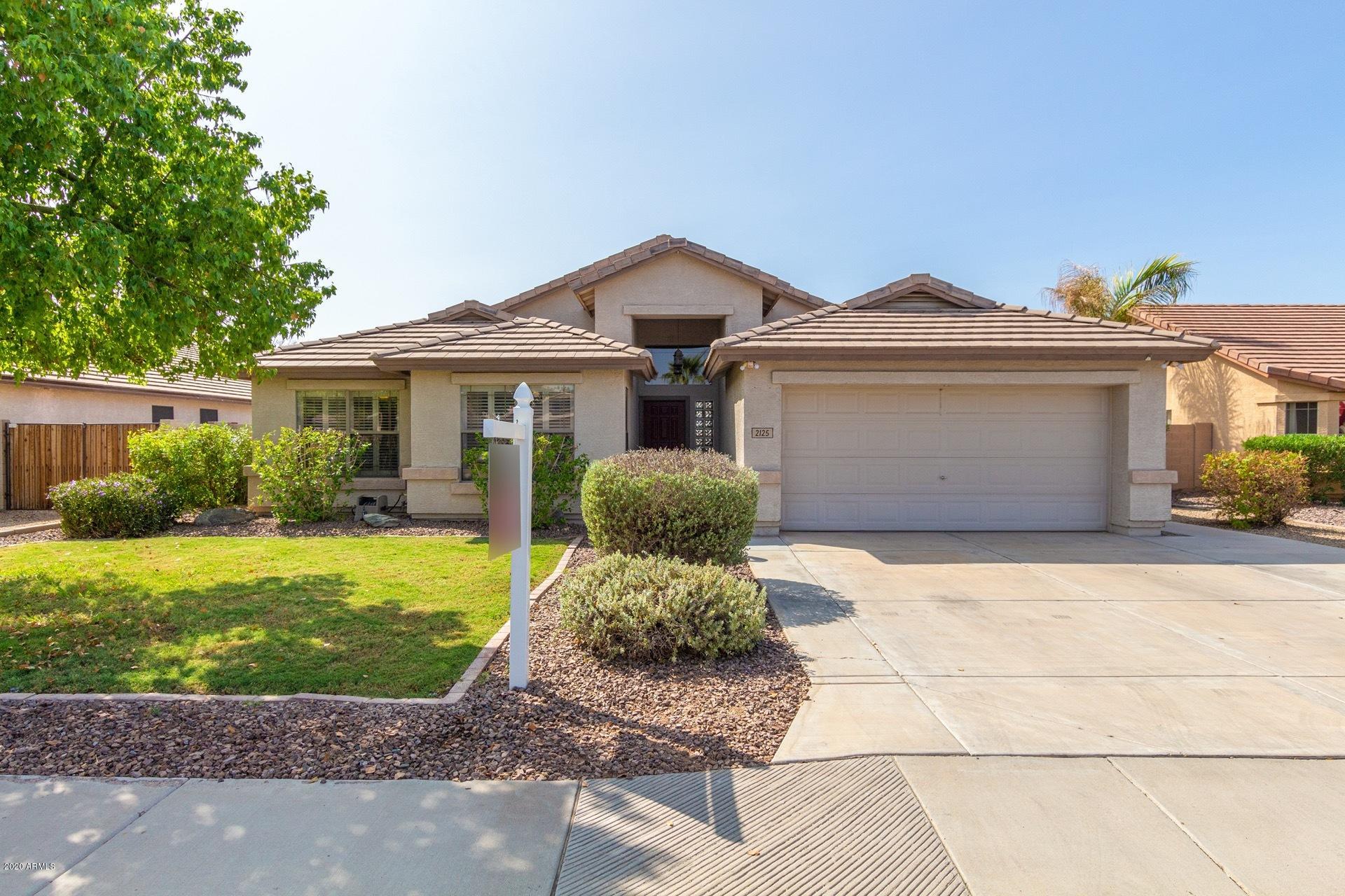 2125 East Smoke Tree Road Gilbert, AZ 85296 - Photo 1 of 26 0001-Smoke tree (1)