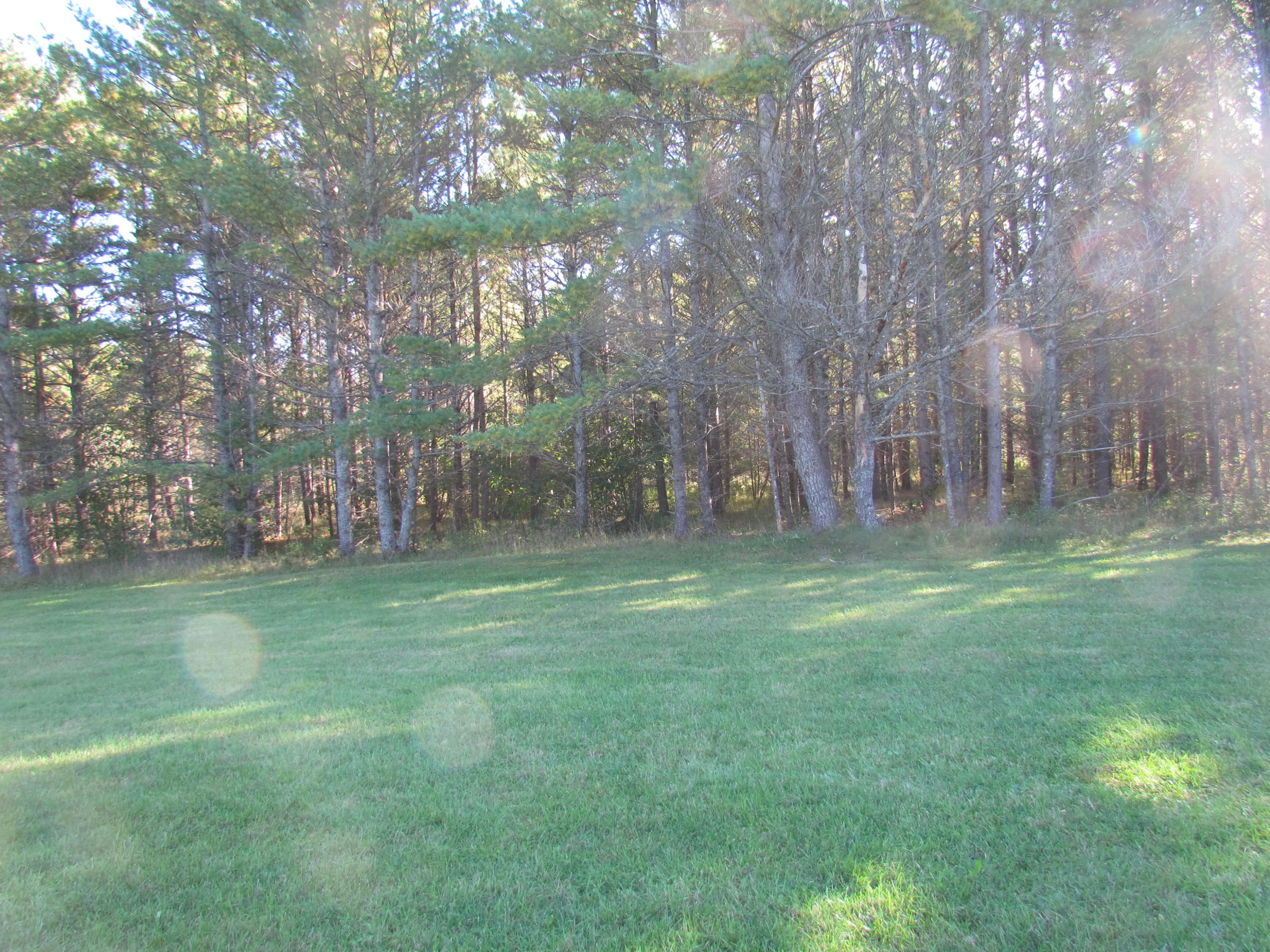 406 North Red Oak Road Lewiston, MI 49756 - Photo 32 of 36 Gallery Image 32